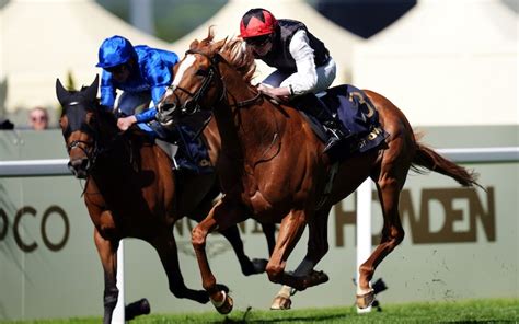 royal ascot gold cup odds|Kyprios carves place in Gold Cup history with sensational Ascot .